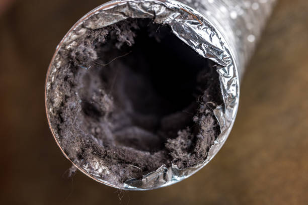 Best Affordable Duct Cleaning Services  in Yuipa, CA